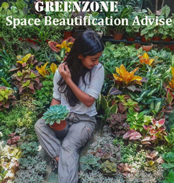 Space Beautification Advise